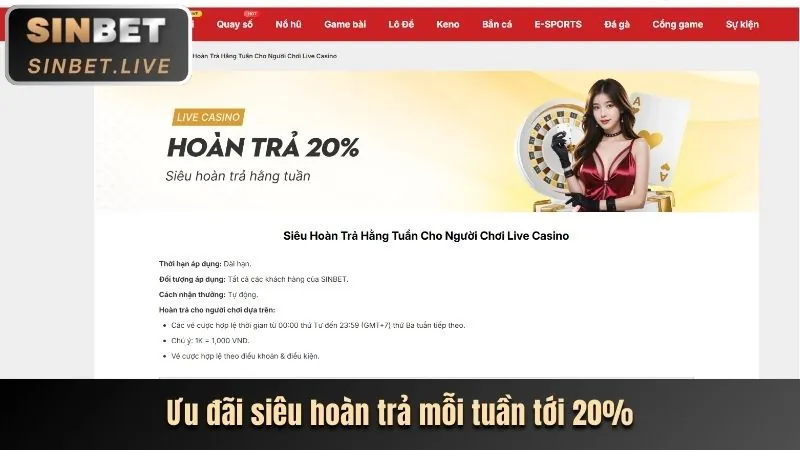 Cá cược quần vợt vn678